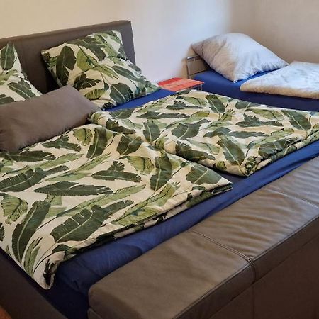 Ferienwohnung Zwischen Rhein Und Schwarzwald Bischweier エクステリア 写真