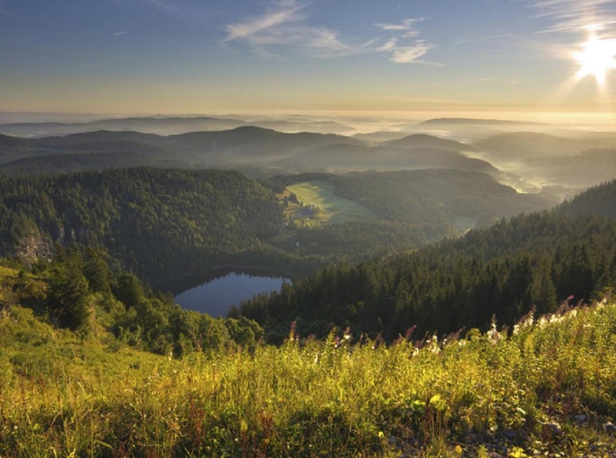 Ferienwohnung Zwischen Rhein Und Schwarzwald Bischweier エクステリア 写真